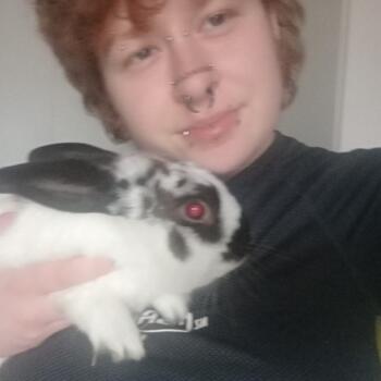Babysitter in Invercargill: Alec