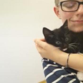 Babysitter Hastings: Rilee