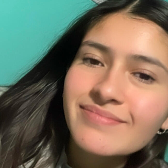 Babysitter in Concepción: Victoria