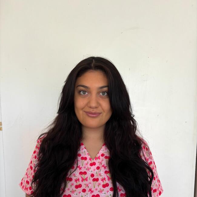 Babysitter in Santiago: Consuelo Fernandez