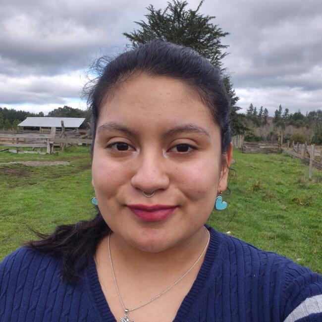 Babysitter in Osorno: Carolina