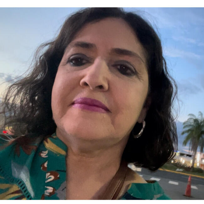 Babysitter in Vega Alta: Enid