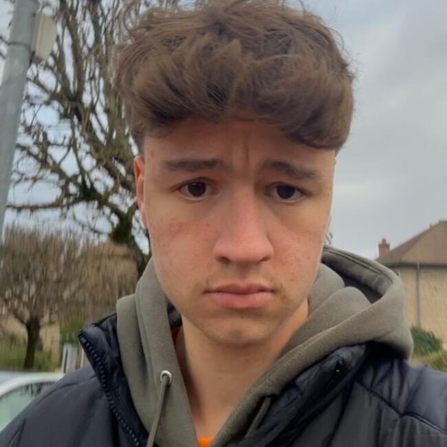 Babysitter in Le Perray-en-Yvelines: Maxence