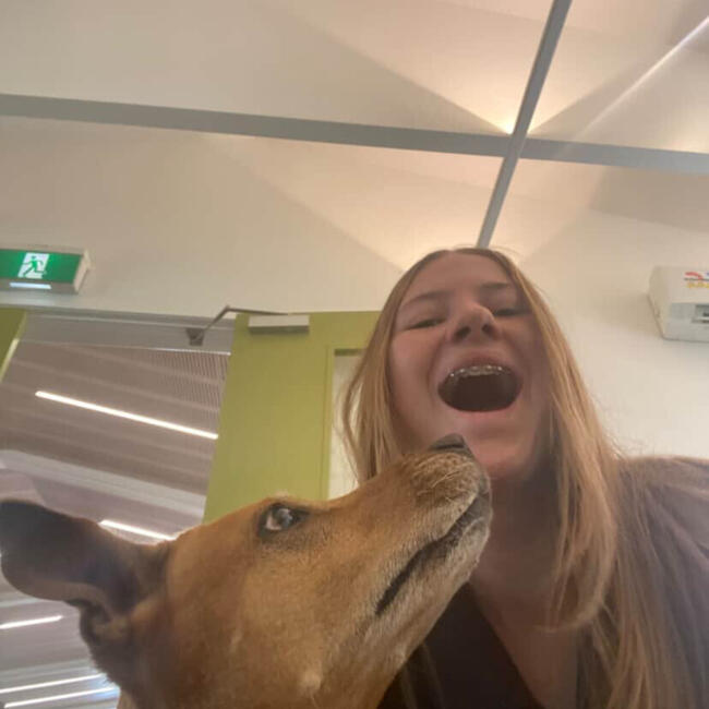 Babysitter in Auckland: Zoe