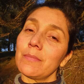 Babysitter in Concepción: Yessica