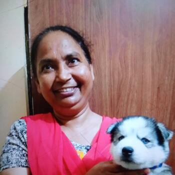Babysitter in Faridabad: Alveena