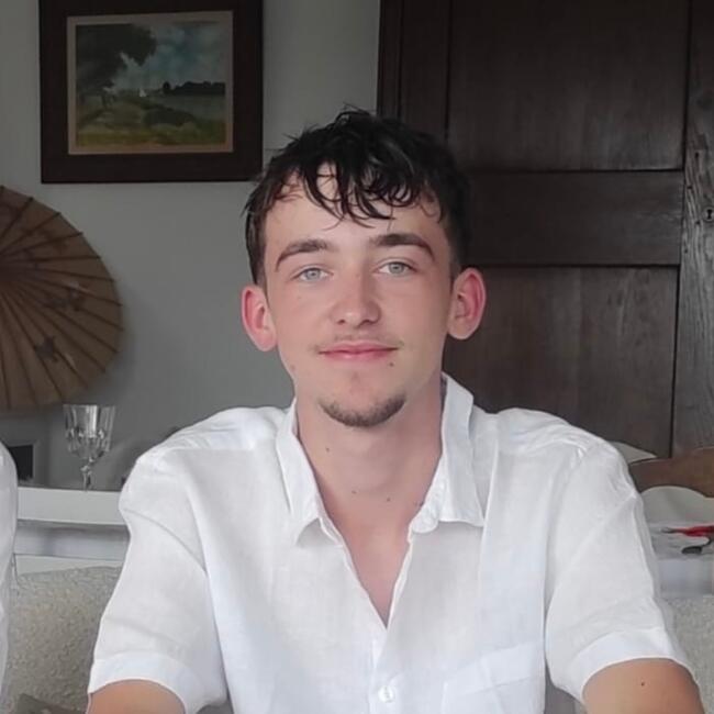 Babysitter in Le Vésinet: Arnaud