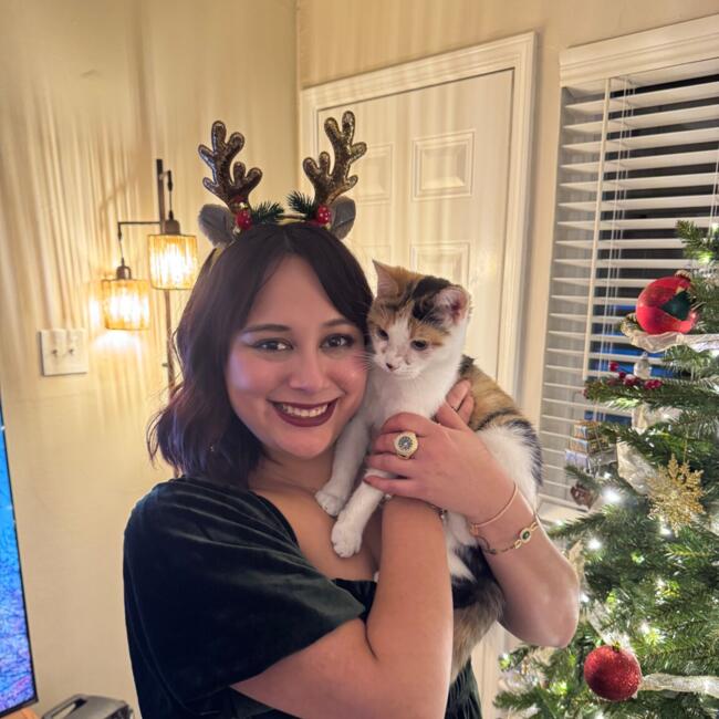 Babysitter in Memphis: Jewell