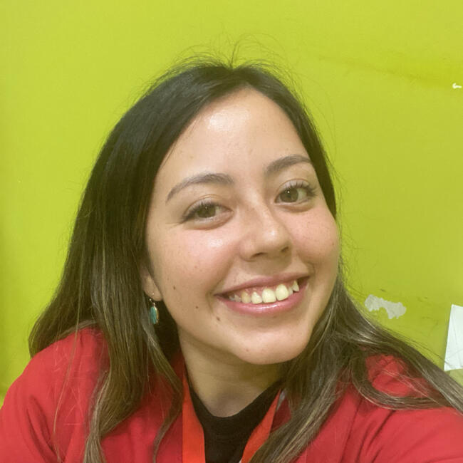 Niñera en Villa Alemana: Gabriela