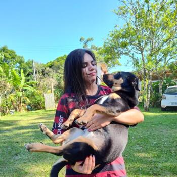 Babysitter Herval d'Oeste (Joaçaba): Talia