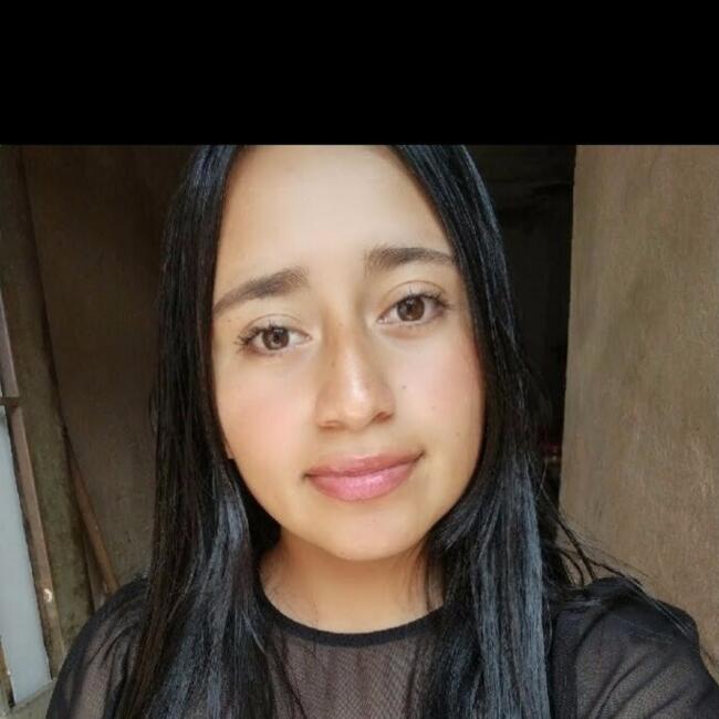 Niñera en Tunja: Dibian