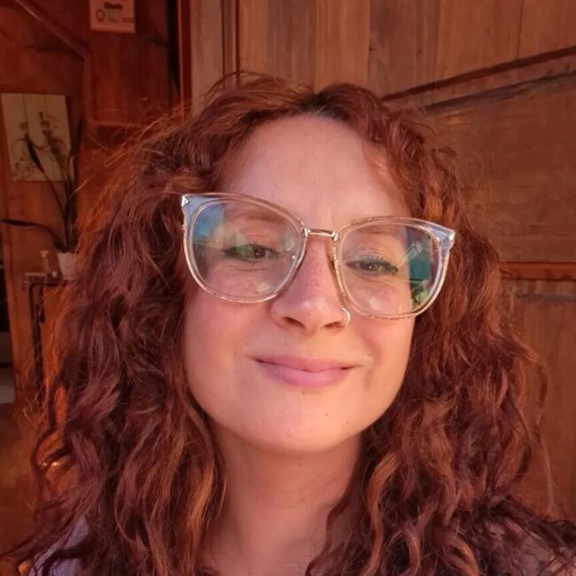 Babysitter in Chiguayante: Carolina alejandra
