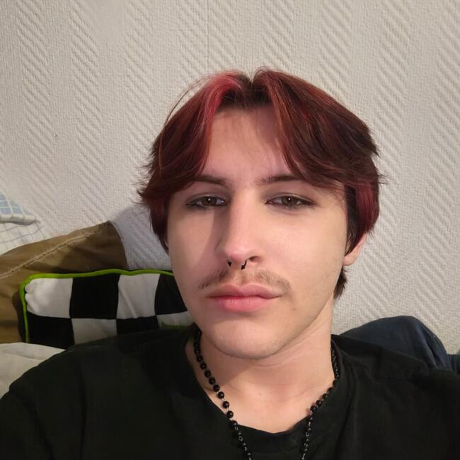 Babysitter in Quiévrechain: Randy