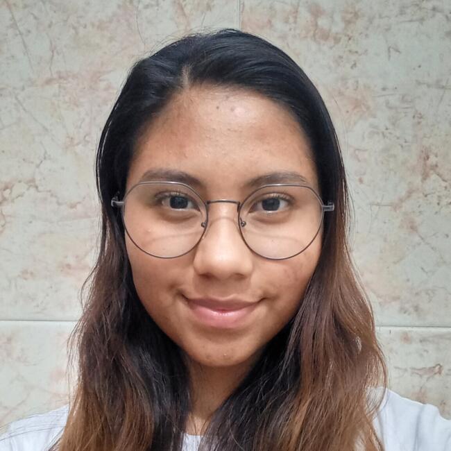 Babysitter in Tuxtla Gutiérrez: Camila