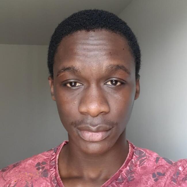 Babysitter in Villeneuve-la-Garenne: Serigne Fallou