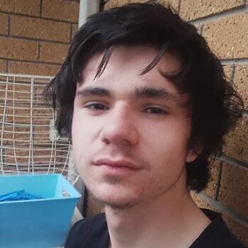 Babysitter in Auckland: Cobby
