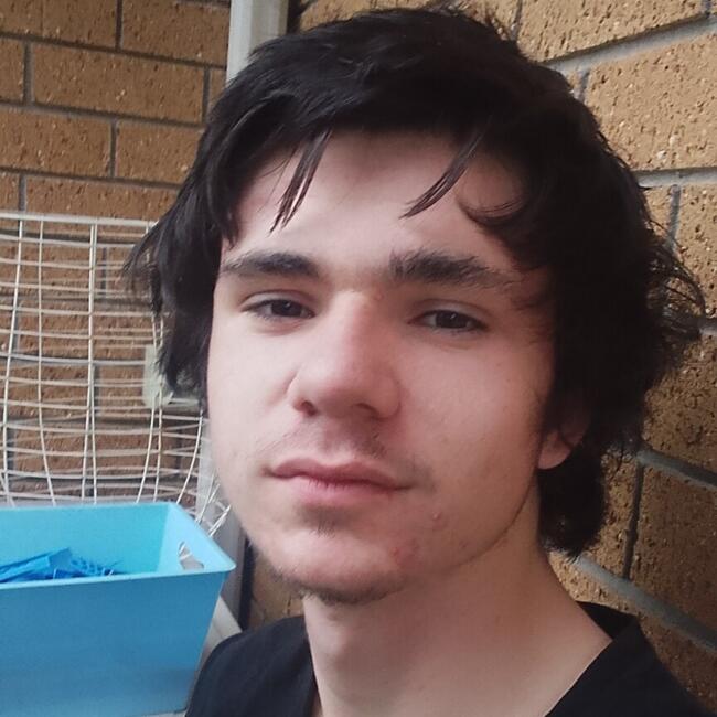 Babysitter in Auckland: Cobby