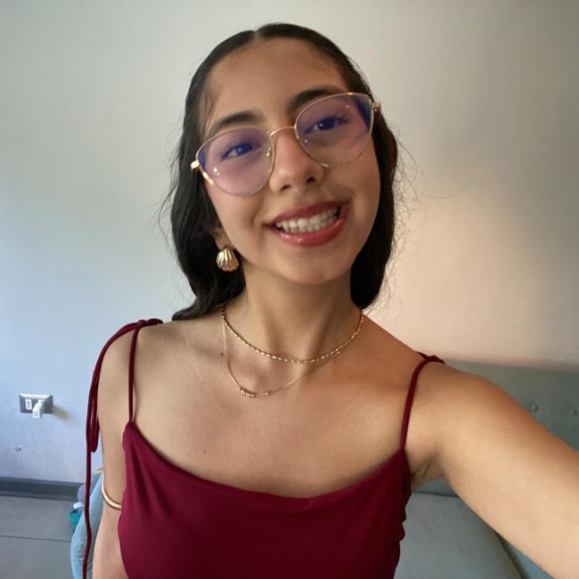 Niñera en Coquimbo: Maite