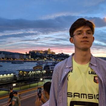 Babysitter in Nantes: Flavien