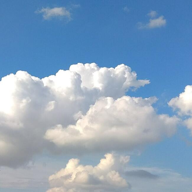 Agence de garde d'enfants à Montréal: Hayet ( garderie nid d'amour)