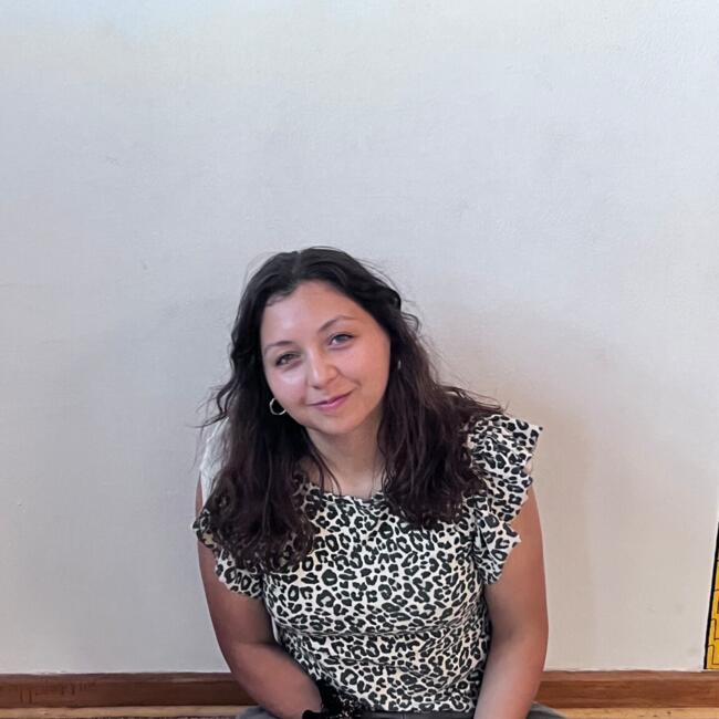 Babysitter in Port Montt: Estefani