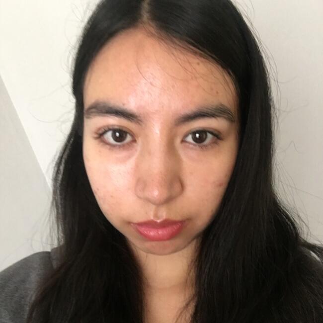 Babysitter in Ovalle: Maria José