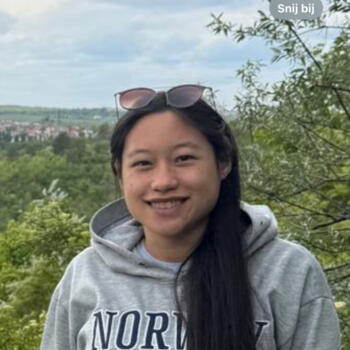 Babysitting job in Ossendrecht: babysitting job Anneleen