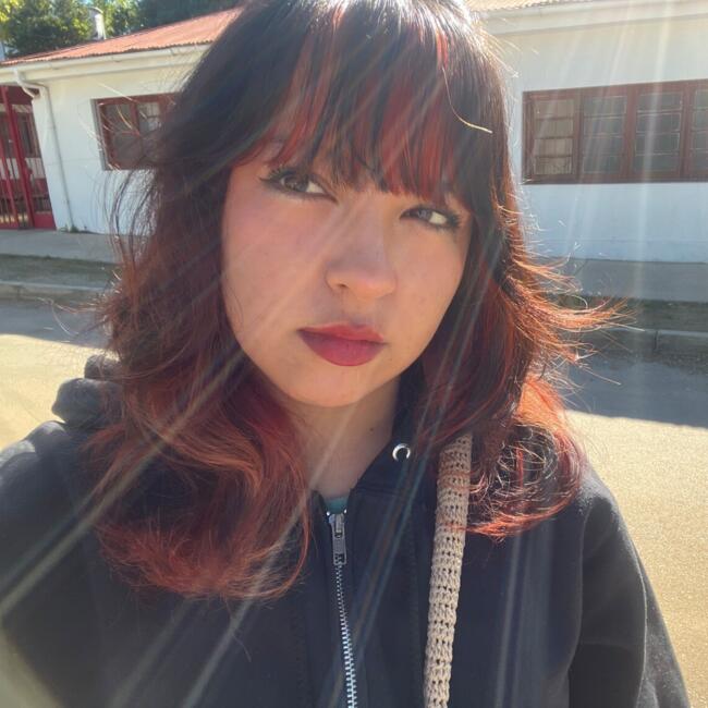 Niñera en Viña del Mar: Stybally