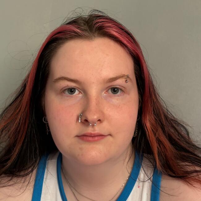 Babysitter in Lisburn: Evie