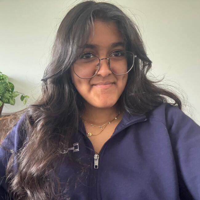 Babysitter in Schaumburg: Devanshi