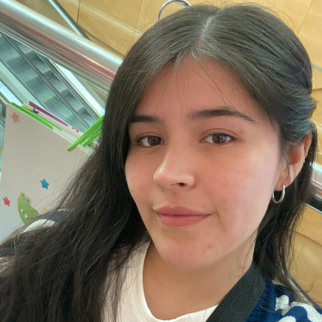 Babysitter in San Pedro de la Paz: Sarai Arely
