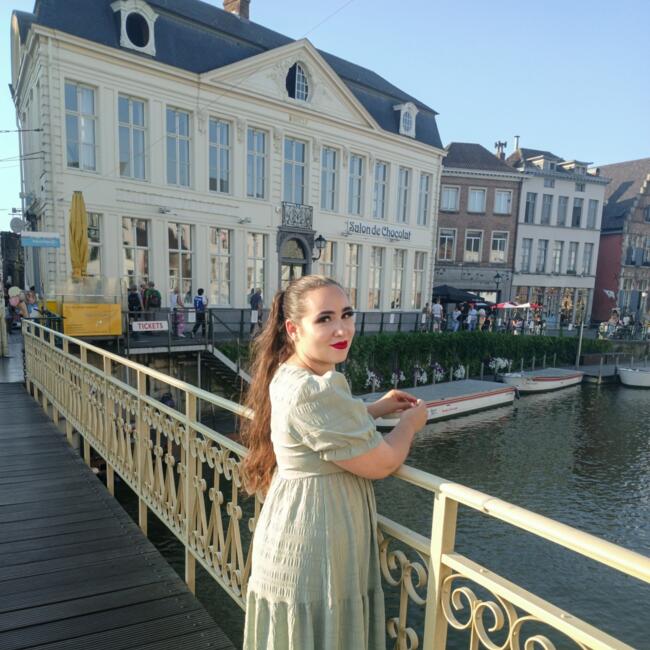 Babysitter Job in Holsbeek: Irene