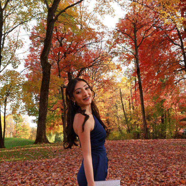 Baby-sitter in Laval: Serine