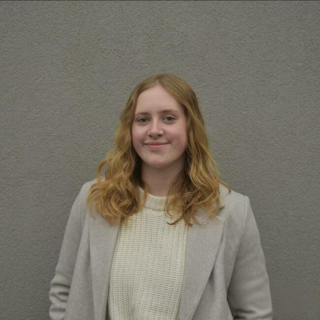 Babysitter in Oudenaarde: Annais