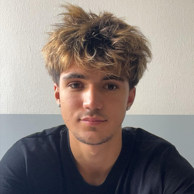 Babysitter in Villiers-sur-Marne: Pablo