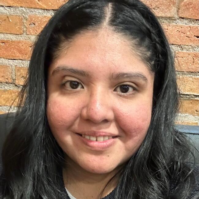 Babysitter in Temuco: Susana