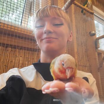 Babysitter in Dresden: Elli