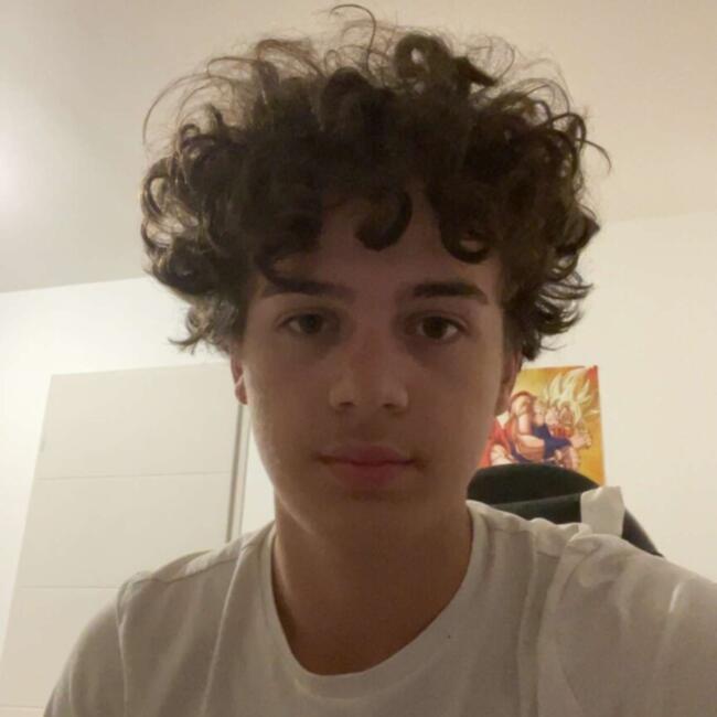 Babysitter in Savonnières: Enzo