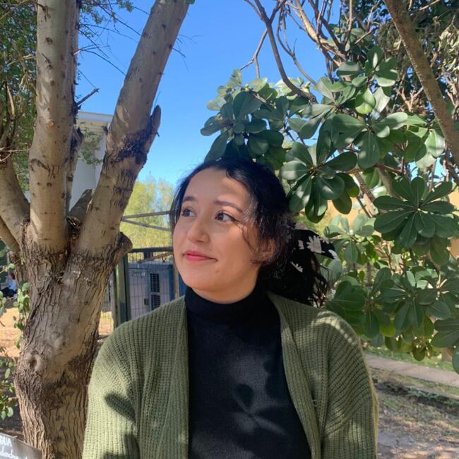 Babysitter in Concepción: Josefa Fernandez