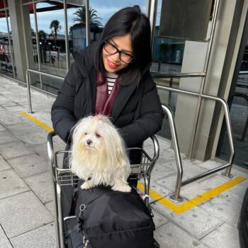 Babysitter in Dublin: Carolina