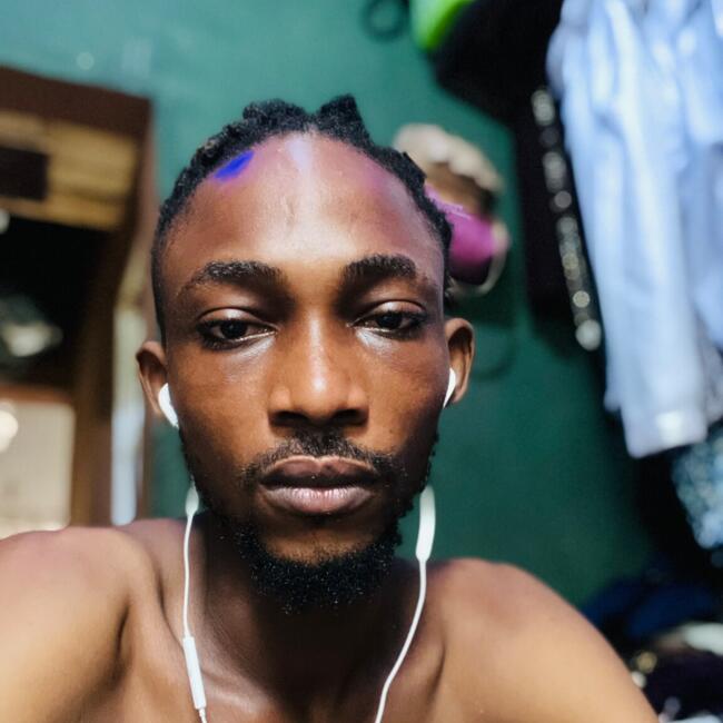 Babysitting job in Bedford (Texas): Omoniyi