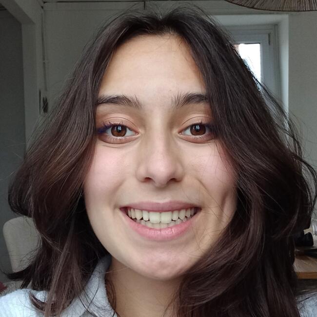 Babysitter in Lille: Louane Guillermin