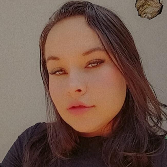 Babysitting job in Cruzeiro do Sul (Rio Grande do Sul): Larissa