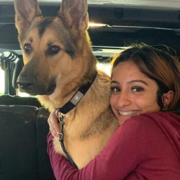 Babysitter Missouri City (Texas): Neha