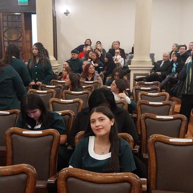 Babysitter in Renca: Camila