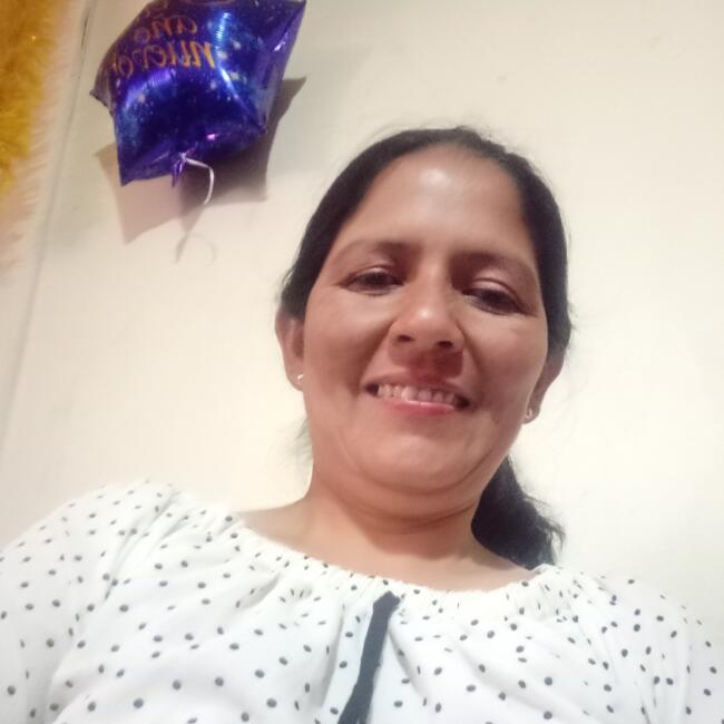 Baby-sitter in Iquique: Roxana gladys