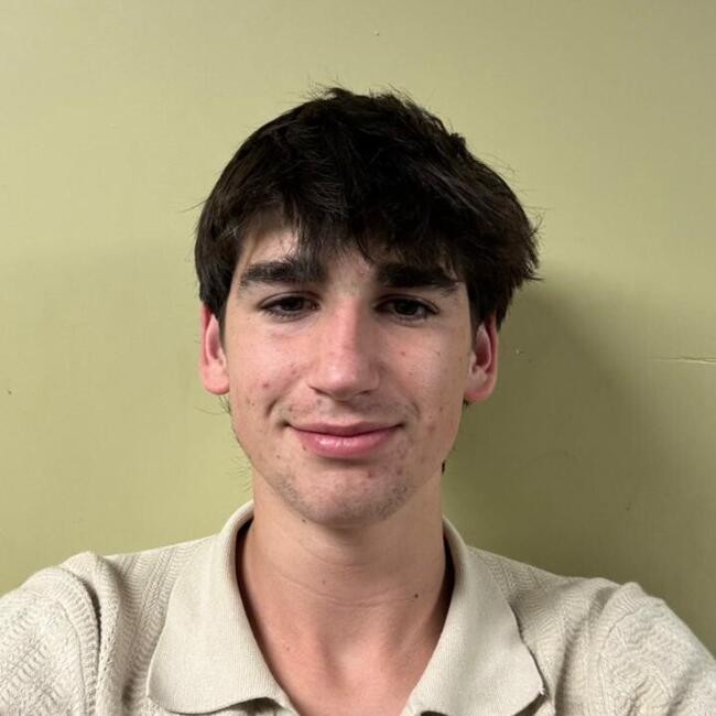 Babysitter in Auckland: Francisco