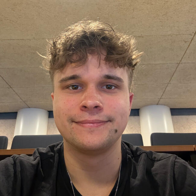 Babysitter i København: Magne