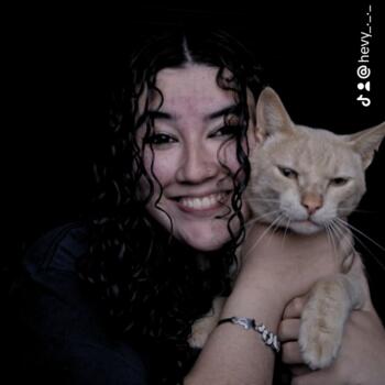 Babysitter in Viamão: Hevelyn