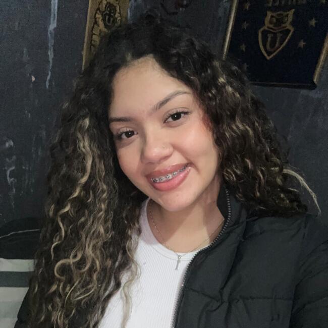Babysitter in Santiago: Kareanny